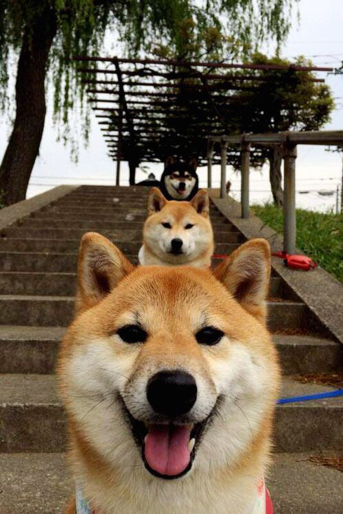 kaiyun开云·官方网站-“青春突破”青少年科技篮球未来峰会在北京成功召开，推动行业革新