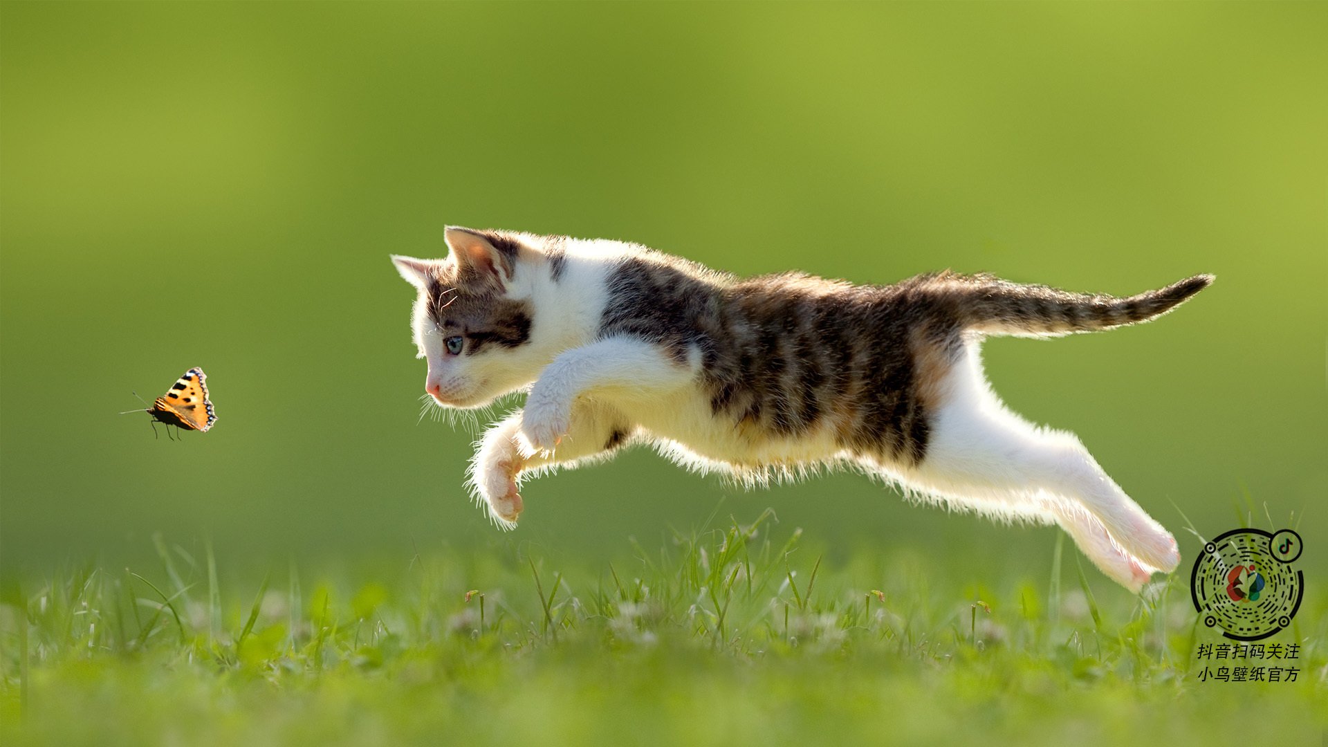 开云官网APP下载-塔代伊·波加查赢得环法和环意双冠，创历史，塔代伊·波加查的女朋友